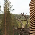 Kurula's * Pyhätunturi