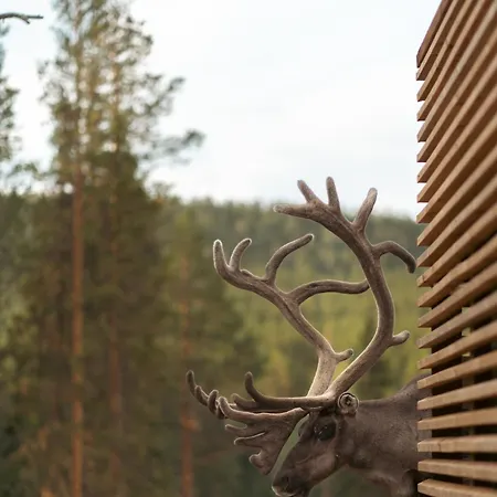 Kurula's * Pyhätunturi