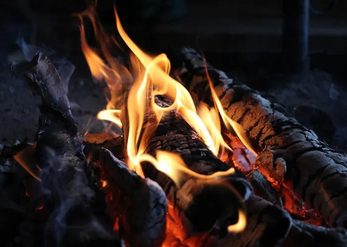 リゾート Kurula's *